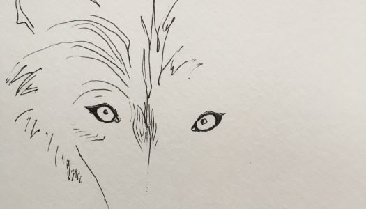 Lone Wolf Theory