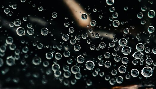 Senile Economics: Bubble Ontology and the Pull of Gravity