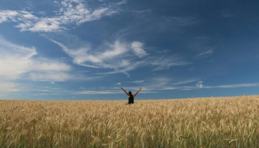 Thinking About Freedom in Wartime Ukraine