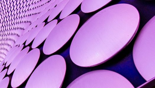 The Regressive Form of Illusionary Politics