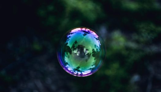 Inside the Bubble of “Successful Paranoia”: Lacanian Reflections on Techno-Capitalist Delusion