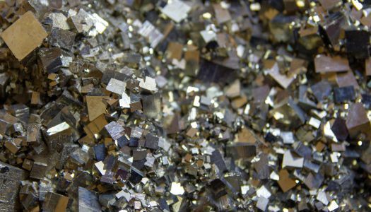 The New Capital Complex: Pax Silica and the Embryonic Fascist State