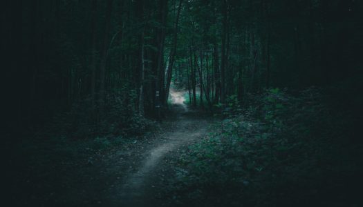 Do Not Answer: Bogna Konior and the Dark Forest of the Internet